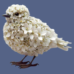 Spring birdie Design