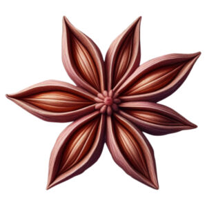 Star anise Design