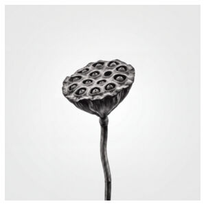 Lotus pod Design