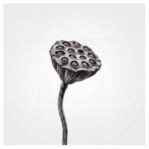Lotus pod tilted Design
