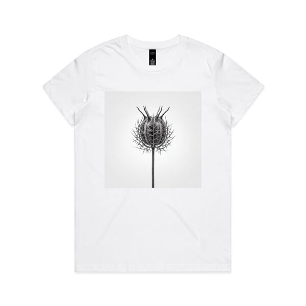 Love-in-a-mist pod Thumbnail